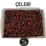 Medine Çelebi Hurması