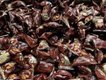 Sütlü Çikolatalı Hurma – Premium Seri - Görsel 2